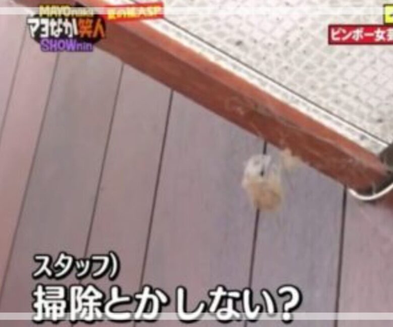 蜘蛛の巣がついた天井