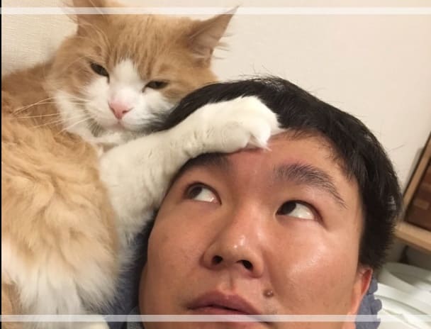 猫とたわむれる山内
